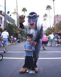 florida03.jpg (15179 bytes)